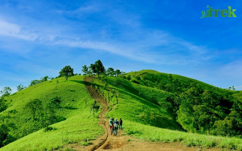 Kinh Nghiệm Trekking Tà Năng Phan Dũng Mùa Cỏ Xanh - Itrek Travel